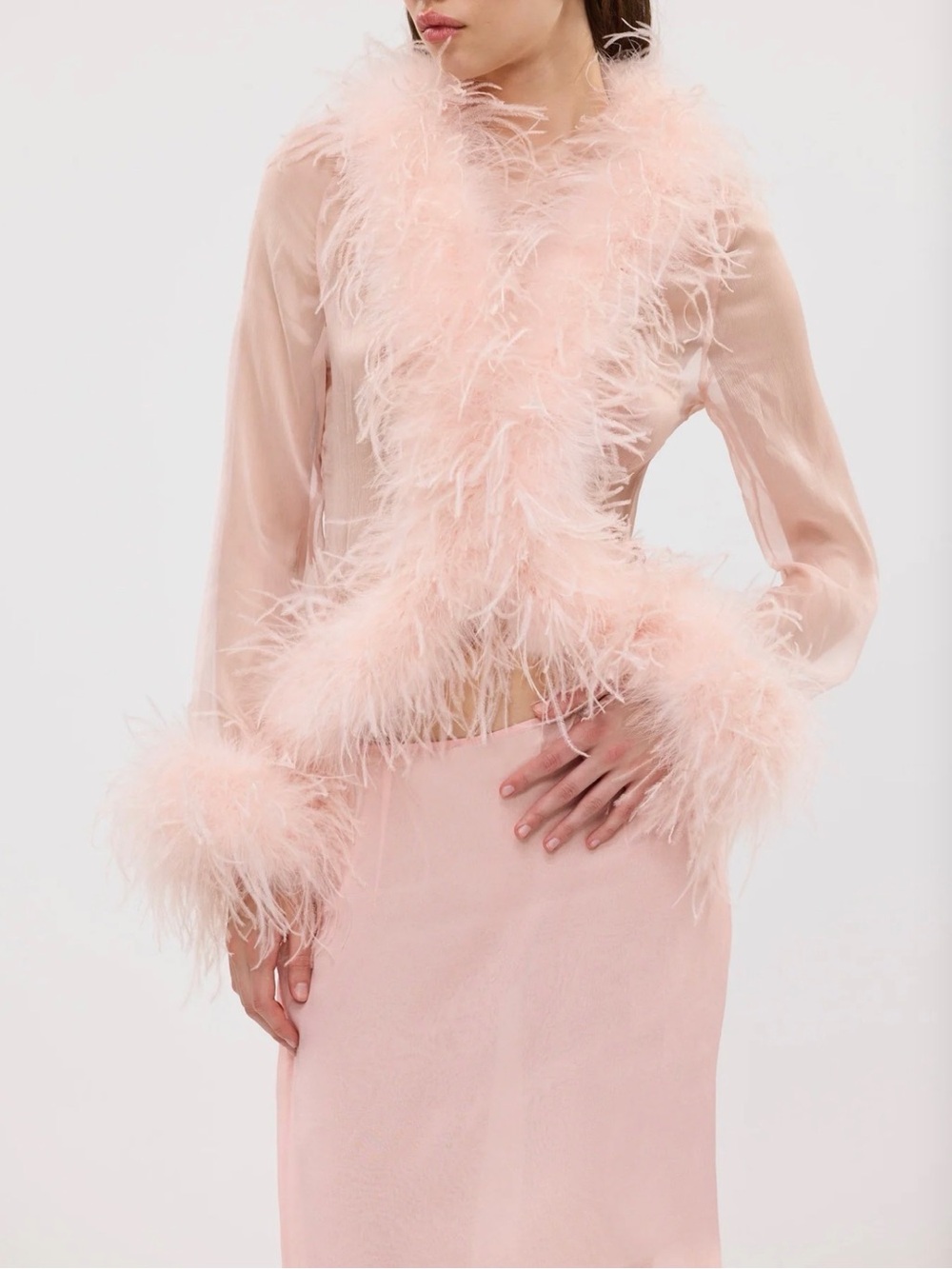 Feather Trim Sheer Blouse